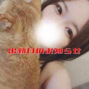 ヒメ日記 2025/08/12 12:41 投稿 さな 久喜鷲宮ちゃんこ