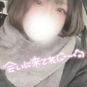 ヒメ日記 2025/12/02 16:21 投稿 さな 久喜鷲宮ちゃんこ