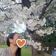 ヒメ日記 2025/04/01 20:47 投稿 あきと 11チャンネル