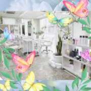 ヒメ日記 2025/03/23 08:12 投稿 山科るみ 五十路マダム愛されたい熟女たち岡山店（カサブランカグループ）