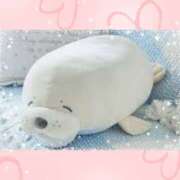 ヒメ日記 2025/04/20 12:50 投稿 山科るみ 五十路マダム愛されたい熟女たち岡山店（カサブランカグループ）