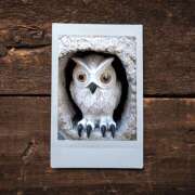 ヒメ日記 2025/07/28 05:14 投稿 山科るみ 五十路マダム愛されたい熟女たち岡山店（カサブランカグループ）