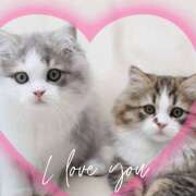 ヒメ日記 2025/09/30 19:24 投稿 山科るみ 五十路マダム愛されたい熟女たち岡山店（カサブランカグループ）