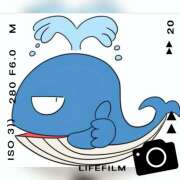 ヒメ日記 2025/11/26 08:08 投稿 山科るみ 五十路マダム愛されたい熟女たち岡山店（カサブランカグループ）