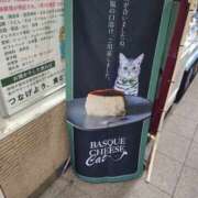 れな かわいい 錦糸町人妻セレブリティ（ユメオト）