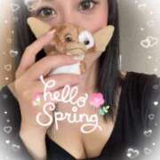 ヒメ日記 2025/03/30 15:48 投稿 しずく(しずく) ロケットワイフ