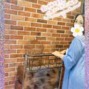 ヒメ日記 2025/07/11 18:43 投稿 しずく(しずく) ロケットワイフ