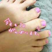 ヒメ日記 2025/07/31 07:48 投稿 しずく(しずく) ロケットワイフ