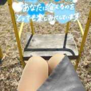 ヒメ日記 2026/02/05 15:27 投稿 しずく(しずく) ロケットワイフ