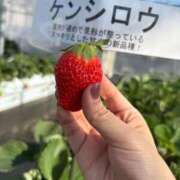 ヒメ日記 2026/02/06 16:20 投稿 しずく(しずく) ロケットワイフ