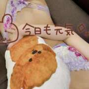 ヒメ日記 2026/02/08 16:12 投稿 しずく(しずく) ロケットワイフ