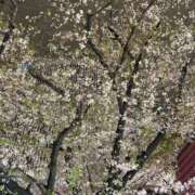 ヒメ日記 2026/04/08 13:05 投稿 しずく(しずく) ロケットワイフ