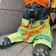 ヒメ日記 2026/04/09 20:27 投稿 しずく(しずく) ロケットワイフ