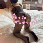 ヒメ日記 2026/04/10 15:40 投稿 しずく(しずく) ロケットワイフ