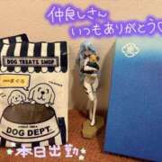 しずく(しずく) よーかんちゃん🐱 ロケットワイフ