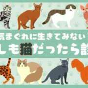 ヒメ日記 2024/05/27 11:19 投稿 ますみ 完熟ばなな札幌・すすきの