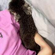 ヒメ日記 2025/07/19 00:16 投稿 りせ CECIL