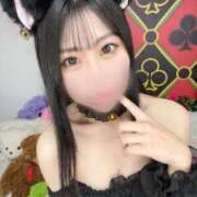 りせ [お題]from:猫と遊ぶさん CECIL