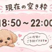 ヒメ日記 2026/09/22 15:17 投稿 りせ CECIL