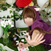 ヒメ日記 2025/03/08 23:15 投稿 吉村 つかさ 京都ホットポイント