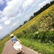 ヒメ日記 2025/03/19 09:01 投稿 吉村 つかさ 京都ホットポイント