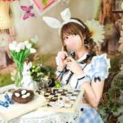 ヒメ日記 2025/03/22 09:45 投稿 吉村 つかさ 京都ホットポイント