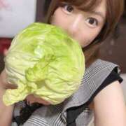 ヒメ日記 2025/03/28 01:00 投稿 吉村 つかさ 京都ホットポイント