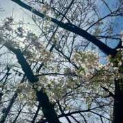 ヒメ日記 2025/03/31 17:02 投稿 吉村 つかさ 京都ホットポイント