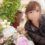 ヒメ日記 2025/04/01 12:05 投稿 吉村 つかさ 京都ホットポイント