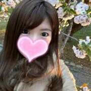 ヒメ日記 2025/04/05 11:46 投稿 吉村 つかさ 京都ホットポイント