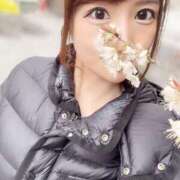 ヒメ日記 2025/04/06 08:07 投稿 吉村 つかさ 京都ホットポイント