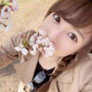 ヒメ日記 2025/04/07 23:40 投稿 吉村 つかさ 京都ホットポイント