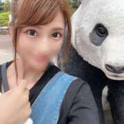 ヒメ日記 2025/05/20 19:31 投稿 吉村 つかさ 京都ホットポイント