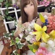 ヒメ日記 2025/05/29 08:26 投稿 吉村 つかさ 京都ホットポイント