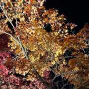 ヒメ日記 2025/11/29 23:30 投稿 吉村 つかさ 京都ホットポイント