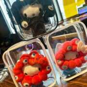 ヒメ日記 2026/02/24 17:02 投稿 吉村 つかさ 京都ホットポイント