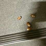 ヒメ日記 2026/03/01 15:02 投稿 吉村 つかさ 京都ホットポイント