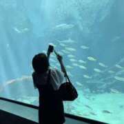 ヒメ日記 2026/03/12 09:04 投稿 吉村 つかさ 京都ホットポイント