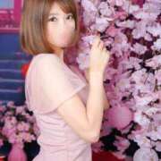 ヒメ日記 2026/04/01 09:00 投稿 吉村 つかさ 京都ホットポイント