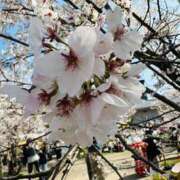 ヒメ日記 2026/04/03 10:02 投稿 吉村 つかさ 京都ホットポイント