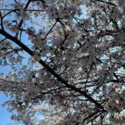 ヒメ日記 2026/04/04 23:01 投稿 吉村 つかさ 京都ホットポイント