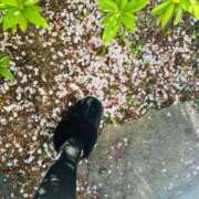 ヒメ日記 2026/04/12 18:01 投稿 吉村 つかさ 京都ホットポイント