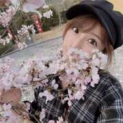 ヒメ日記 2026/04/17 22:54 投稿 吉村 つかさ 京都ホットポイント