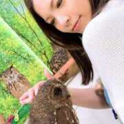 ヒメ日記 2025/09/12 13:49 投稿 みい 熟女の風俗最終章 新潟店