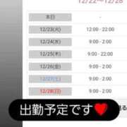 ヒメ日記 2025/12/23 01:43 投稿 みい 熟女の風俗最終章 新潟店