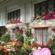 ヒメ日記 2025/05/30 17:59 投稿 葉月美優 プレジデントハウス