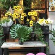 ヒメ日記 2025/07/18 18:04 投稿 葉月美優 プレジデントハウス