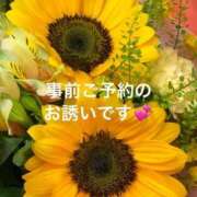 ヒメ日記 2025/07/20 16:44 投稿 葉月美優 プレジデントハウス