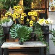 ヒメ日記 2025/08/16 16:48 投稿 葉月美優 プレジデントハウス