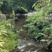 ヒメ日記 2025/09/28 09:50 投稿 葉月美優 プレジデントハウス